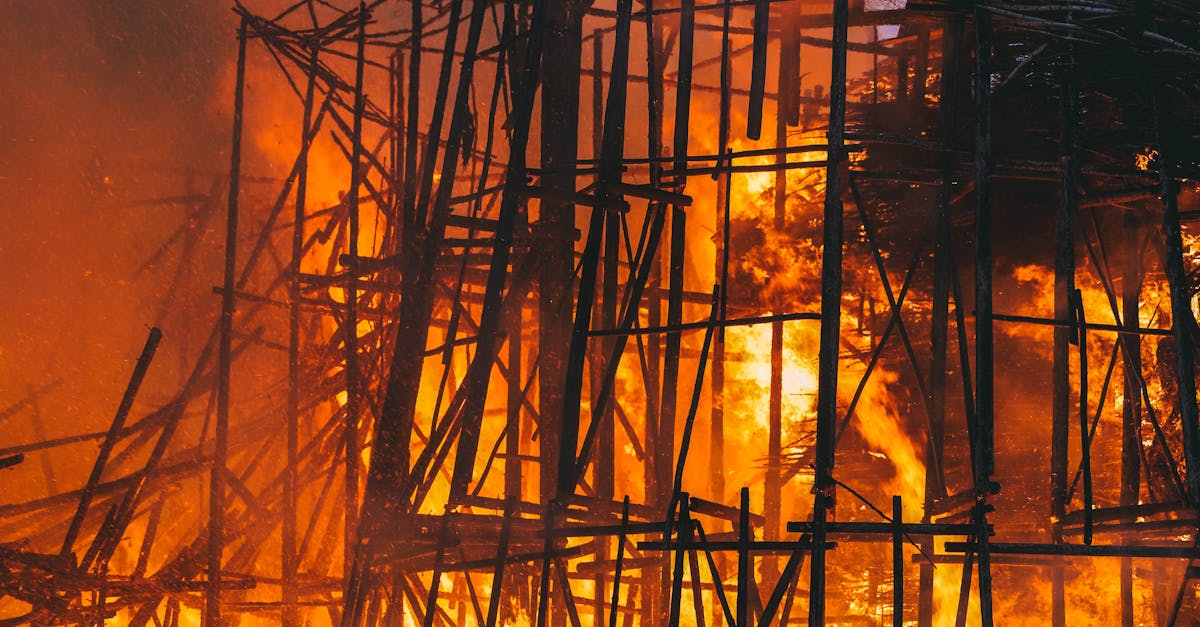 Best Practices for Timber Floor Repair in a Coastal Climate