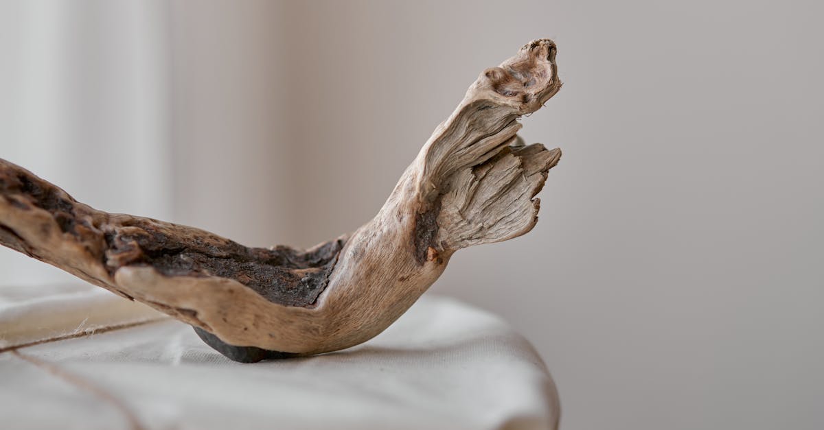 Common Challenges During Timber Floor Removal and How to Overcome Them