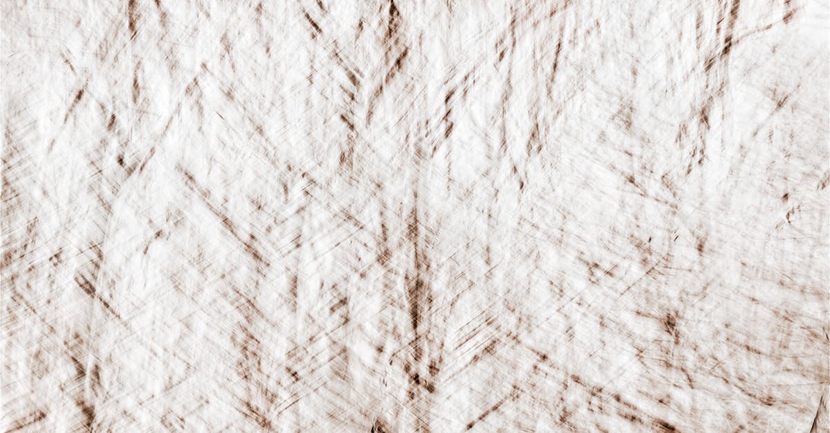 Cost-Effective Solutions for Bamboo Flooring Installation