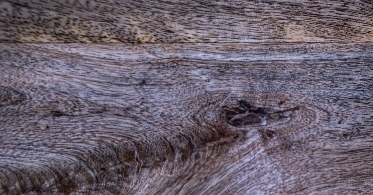 Customising Your Space with Engineered Timber Flooring Designs