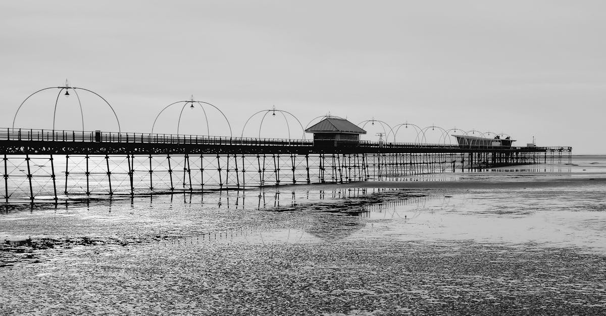 Effective Moisture Barriers for Timber Flooring