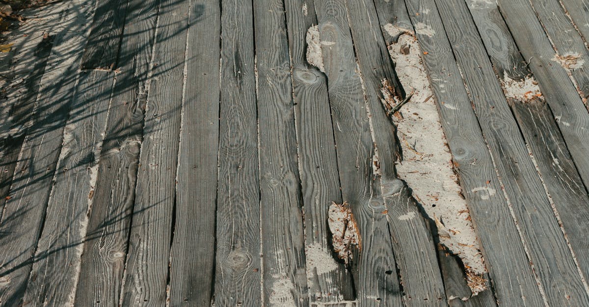 How to Choose the Right Replacement Timber Flooring for Your Space