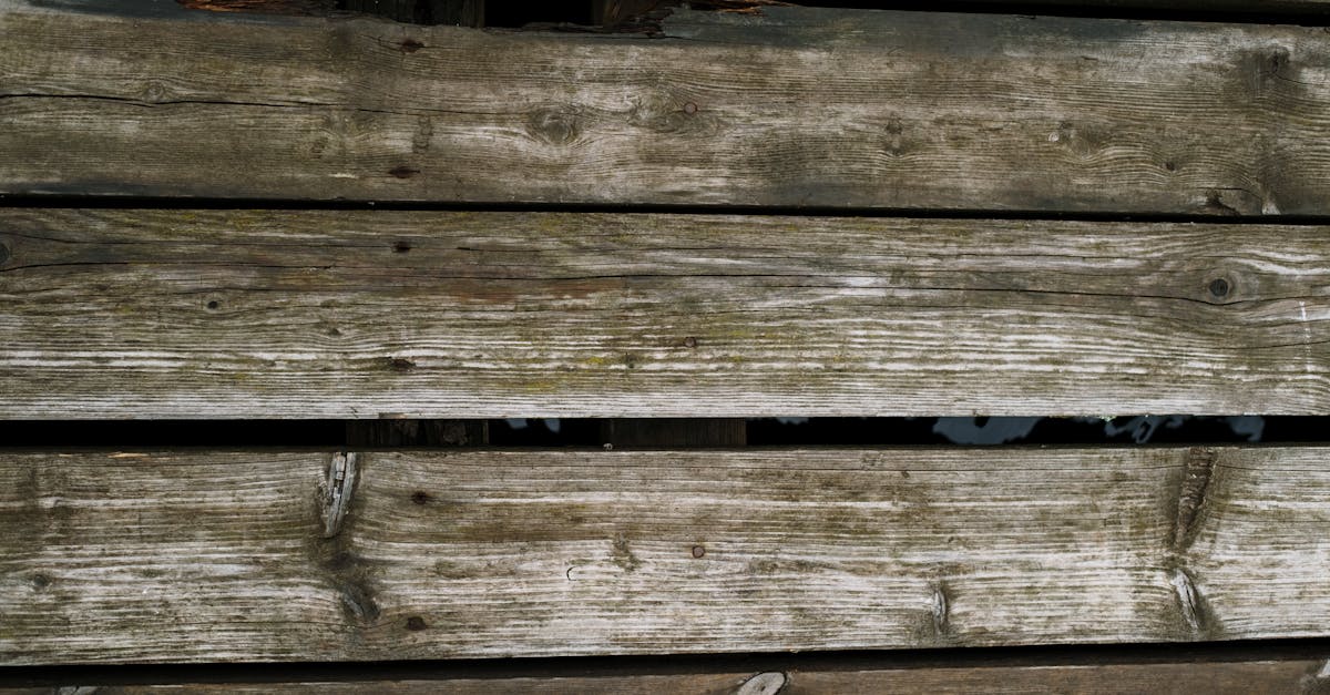 Repairing Water Damage in Timber Floors