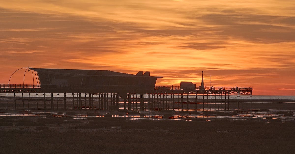 The Ultimate Guide to Timber Flooring Scratch Prevention