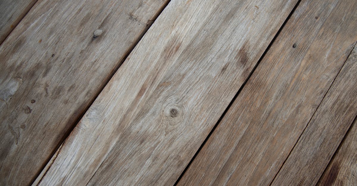 Trends in Bamboo Flooring Designs for 2023